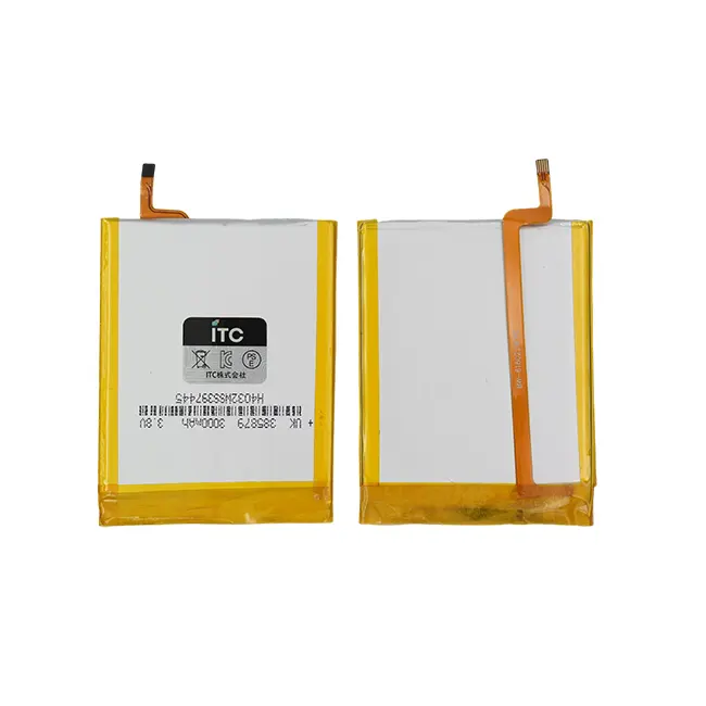 iPod Classic-Video Thin バッテリー[385879]