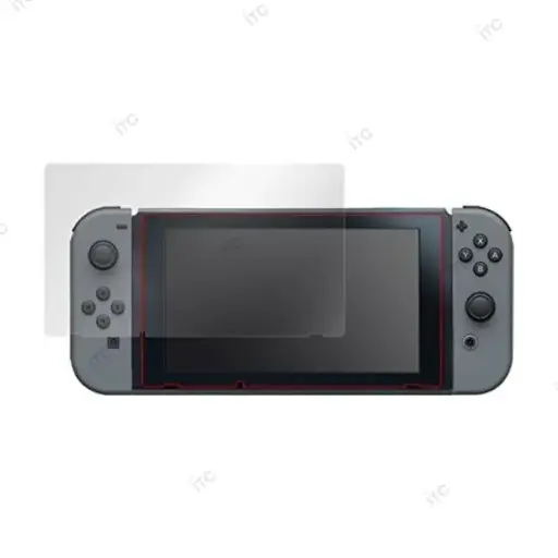 [Z1010] Switch ガラスフィルム (指紋防止)