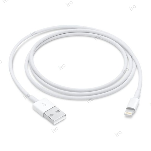 [Z6016] アクセサリー Lightning - USB 充電ケーブル（1 m）